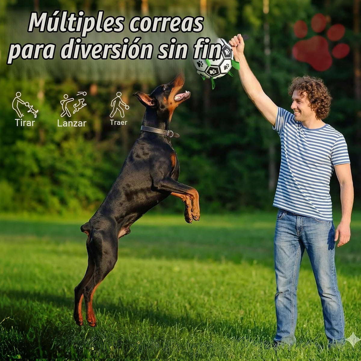 QDAN Balón de fútbol para perros Gaint de 10 pulgadas con correas,...