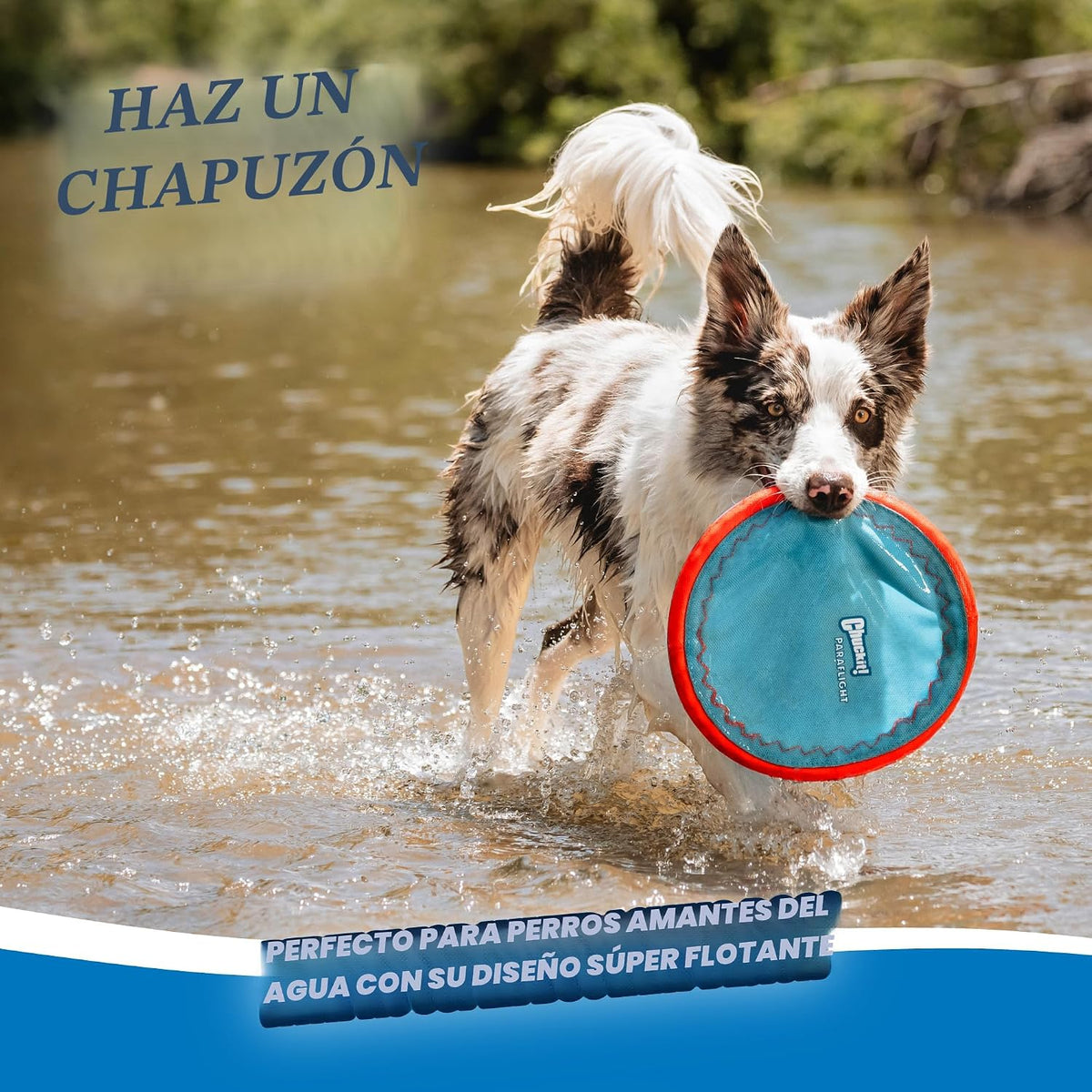 Chuckit! Paraflight - Disco volador para perros - Juguete flotante...