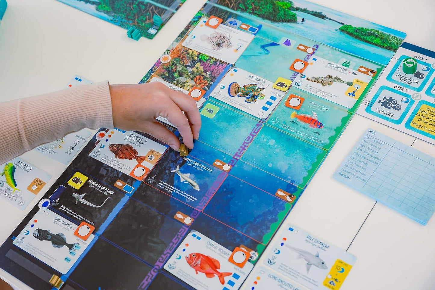 Stonemaier Games: Finspan - Un juego de Wingspan de David Gordon y...