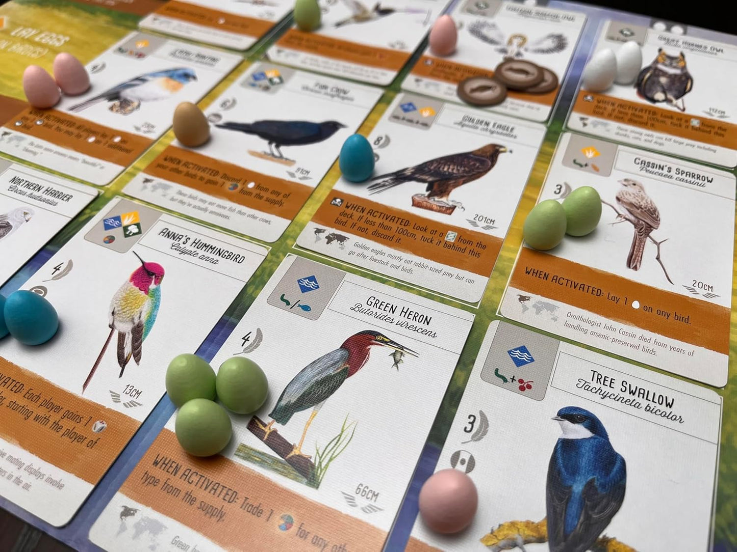 Stonemaier Games: Wingspan (Juego Base) de Elizabeth Hargrave | Un...