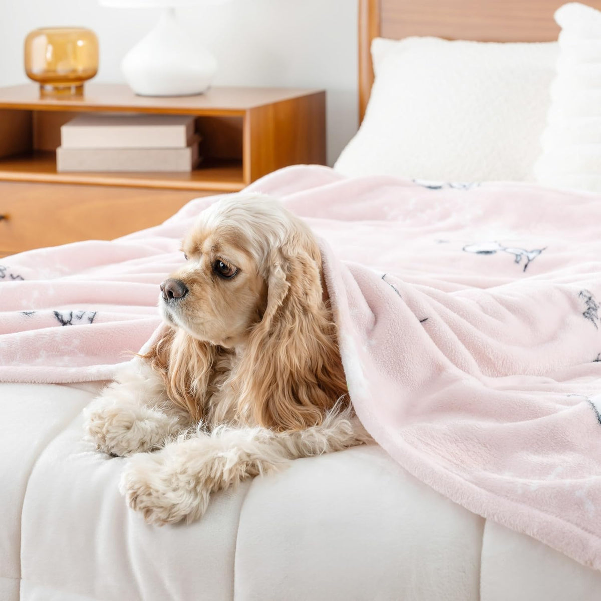 Berkshire Blanket Peanuts VelvetLoft Manta de Felpa de Personaje Li...
