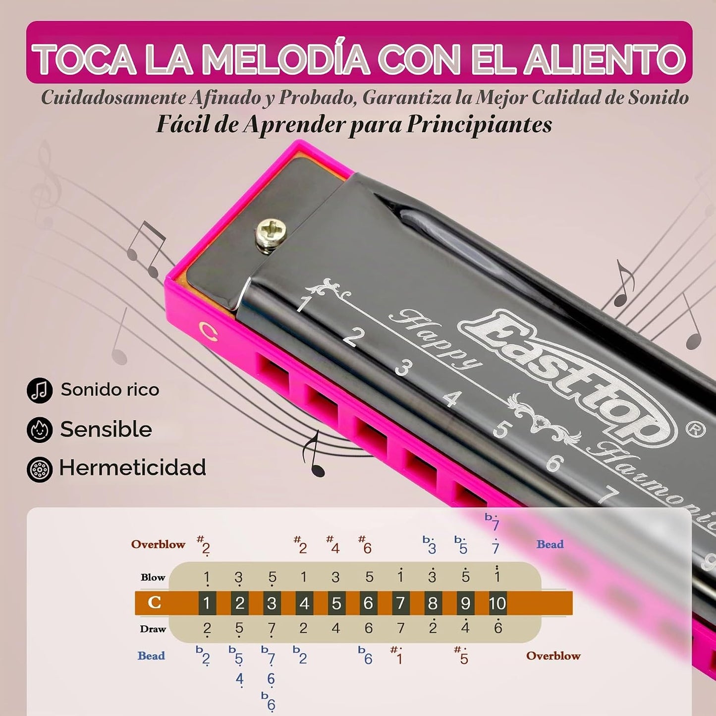 East top - Armónica Blues Diatónica de 10 agujeros en Do, órgano de...