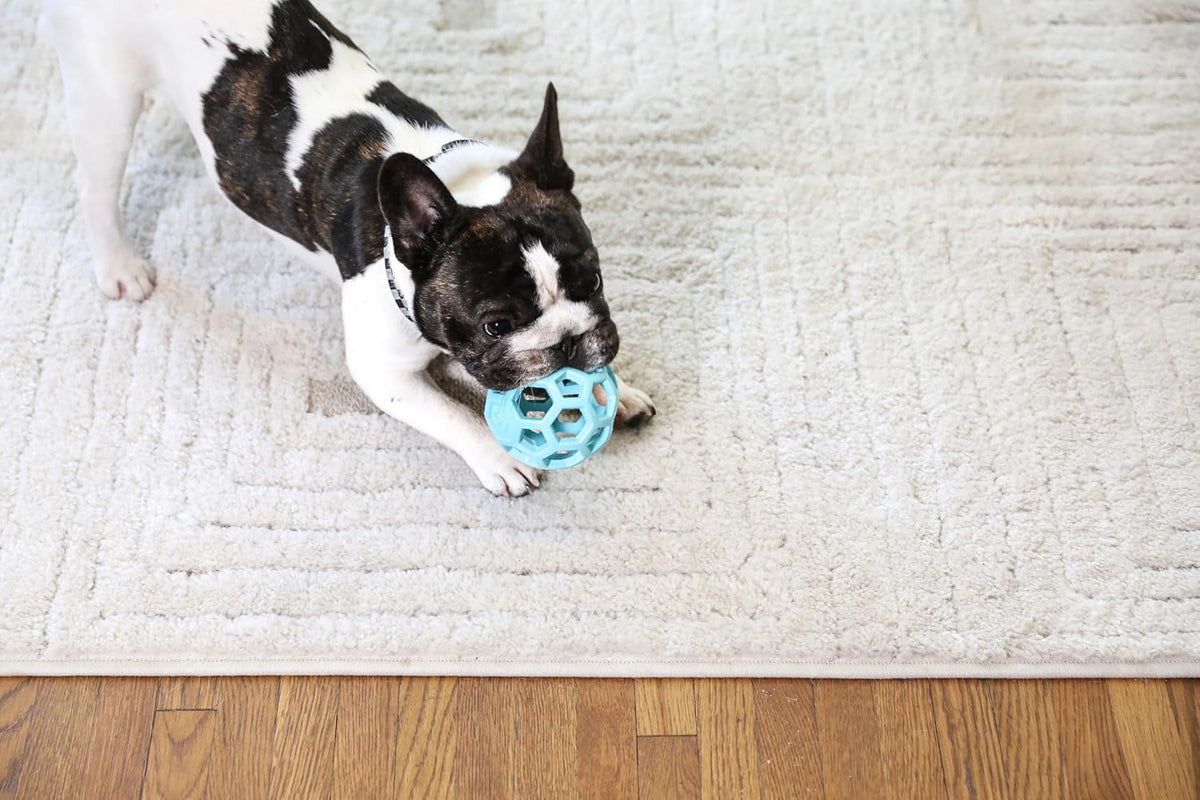 JW Pet HOL-ee Roller™, bola de rompecabezas de juguete para perros,...