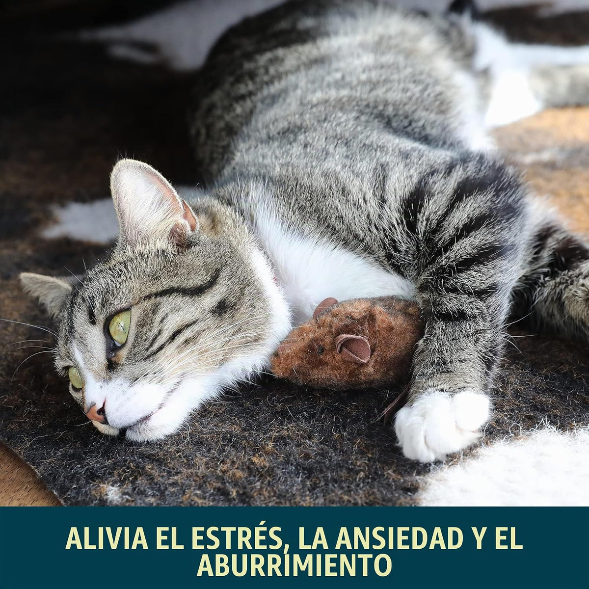 OurPets Play-N-Squeak Mouse Hunter - Juguetes para gatos con hierba...