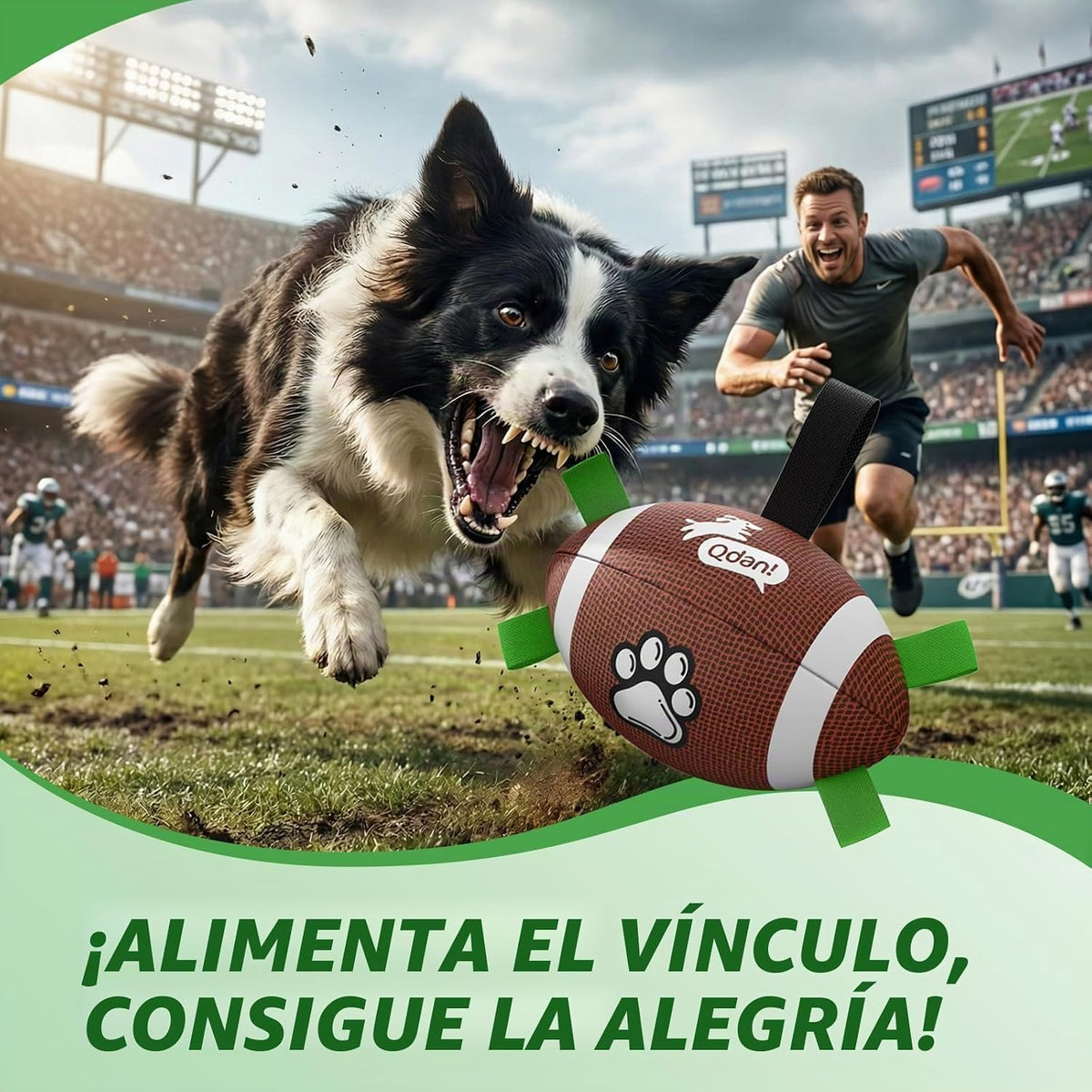 QDAN - Juego de 2 pelotas de fútbol para perros, juguete con correa...