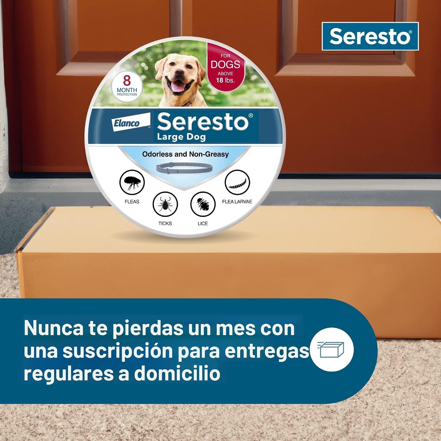 Prevención y tratamiento de pulgas de gatos grandes Advantage XD pa...