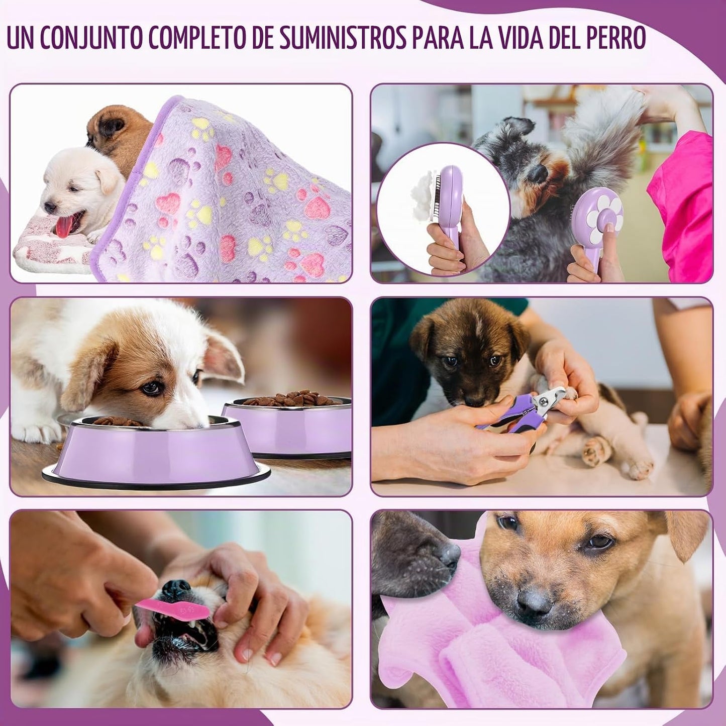 Abbylike - Kit de inicio de 50 piezas para cachorros para perros pe...