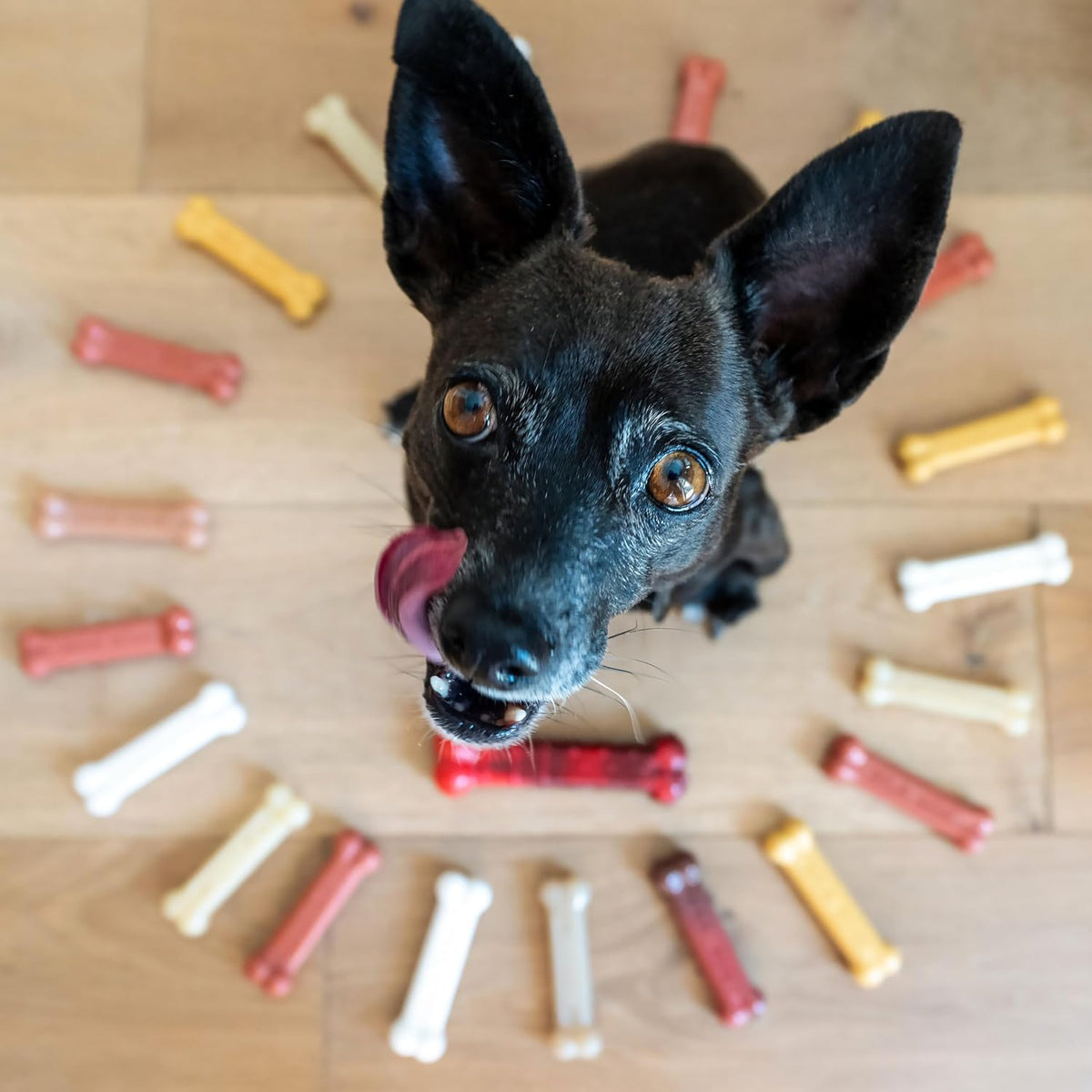 Nylabone Power Chew Customer Favorites - Juguetes masticables para...