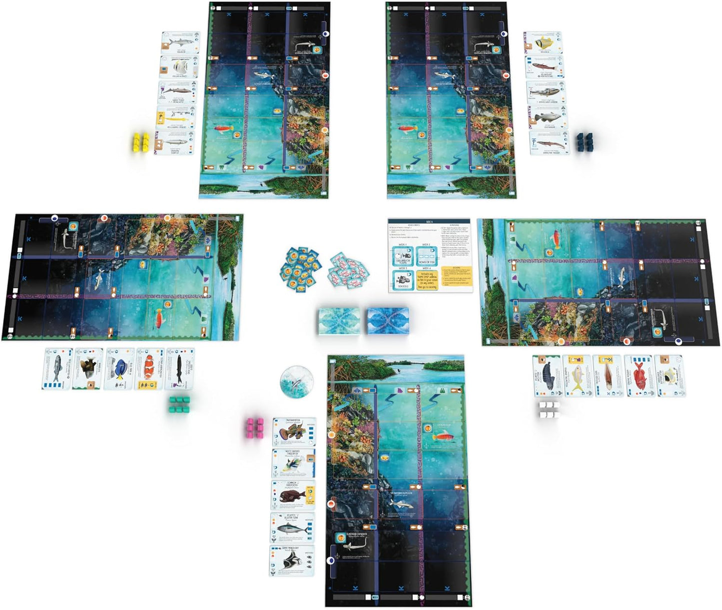 Stonemaier Games: Finspan - Un juego de Wingspan de David Gordon y...