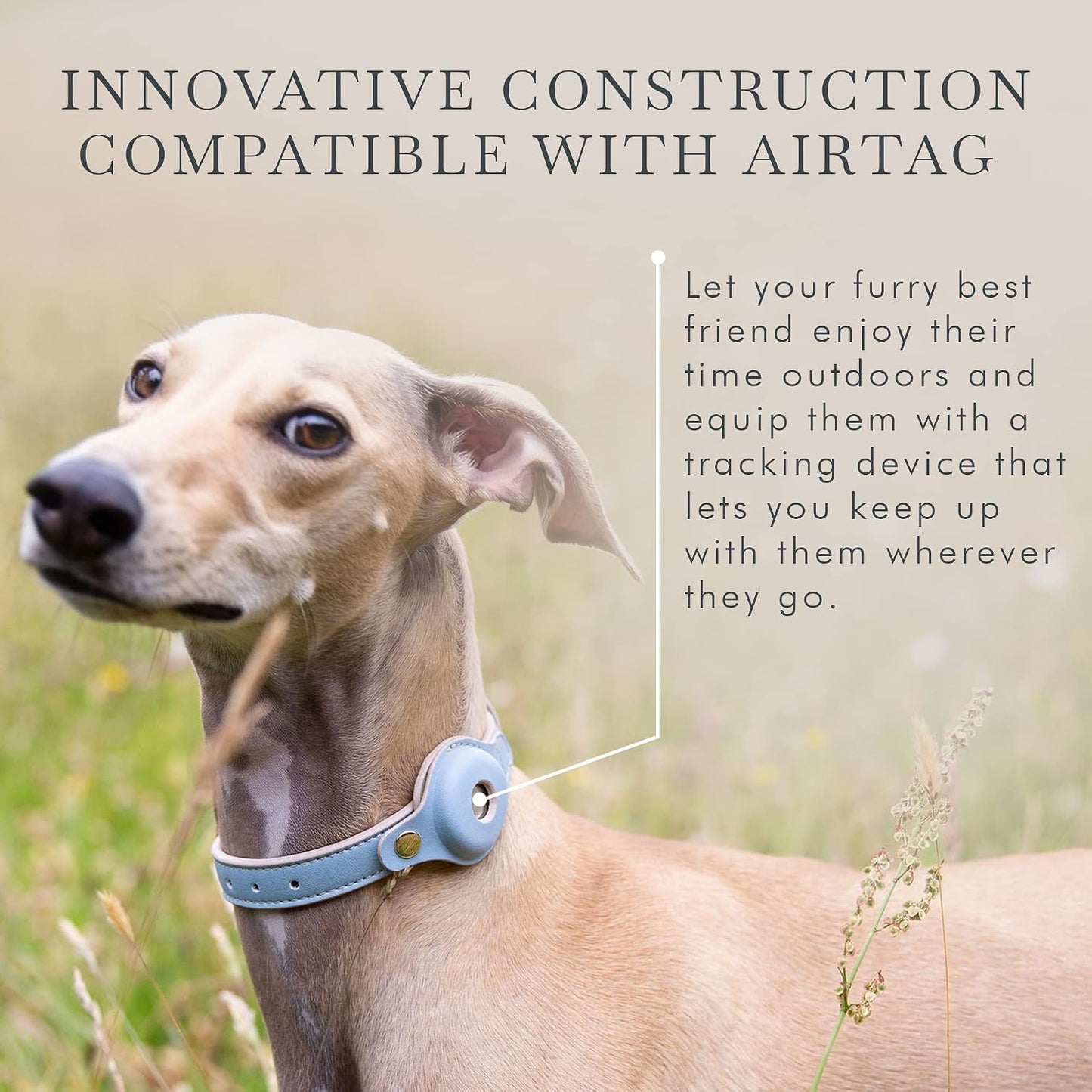 NINA WOOF Cupertino - Collares, arneses y correas para perro, hecho...