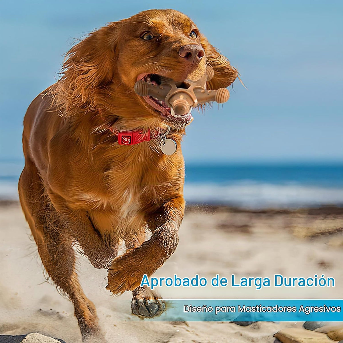 PETSTA Juguetes resistentes para perros masticadores agresivos, jug...