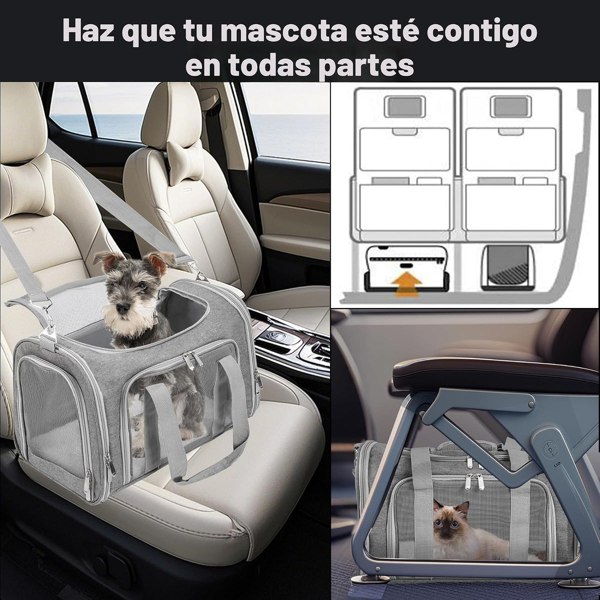 LEHNI Transportador de gato de lados blandos\/perros\/mascotas | Pa...
