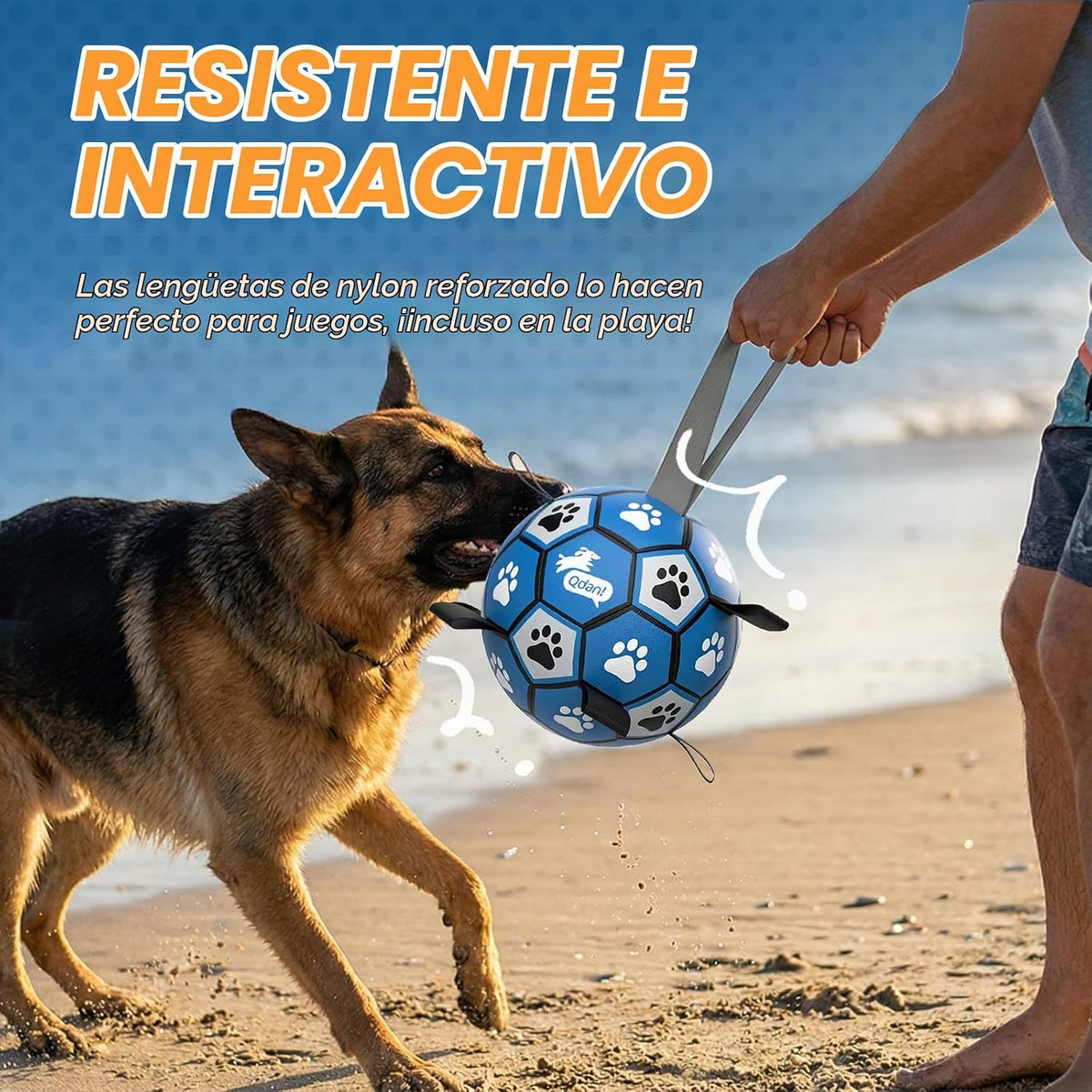QDAN Pelota de fútbol extra grande para perros, pelotas duraderas c...