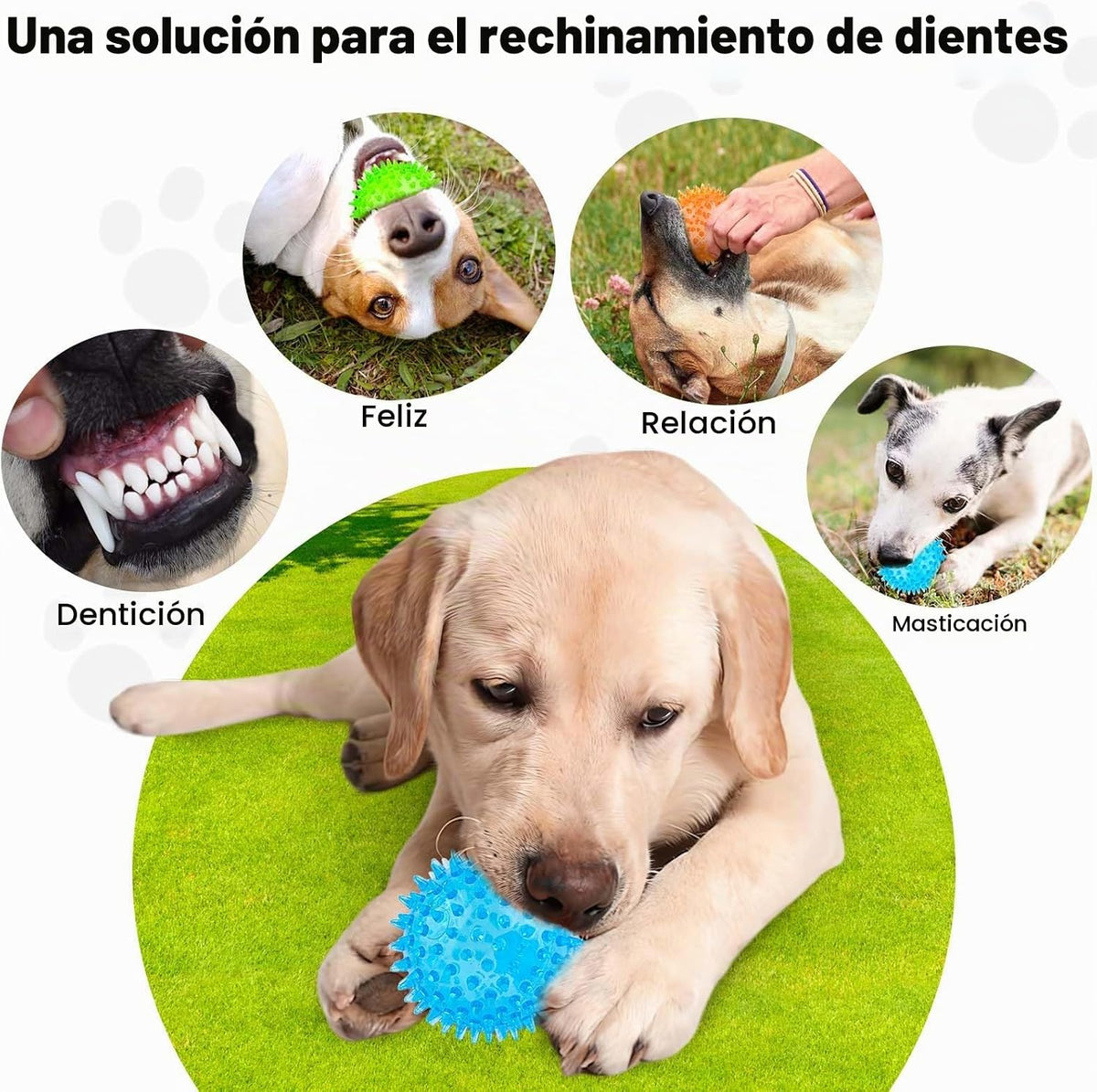 PUPTILY Juguete para cachorros de 2.5 pulgadas, bolas chirriantes p...