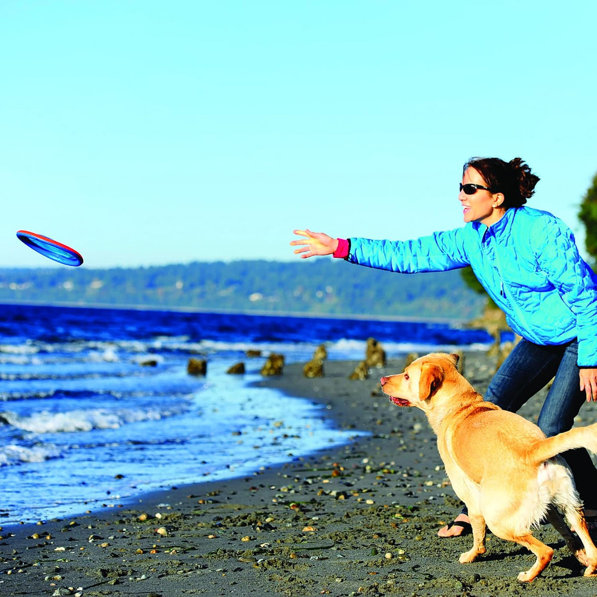 Chuckit! Paraflight - Disco volador para perros - Juguete flotante...