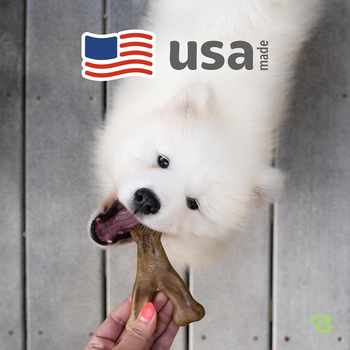 Benebone Wishbone - Juguete masticable para perros para masticadore...