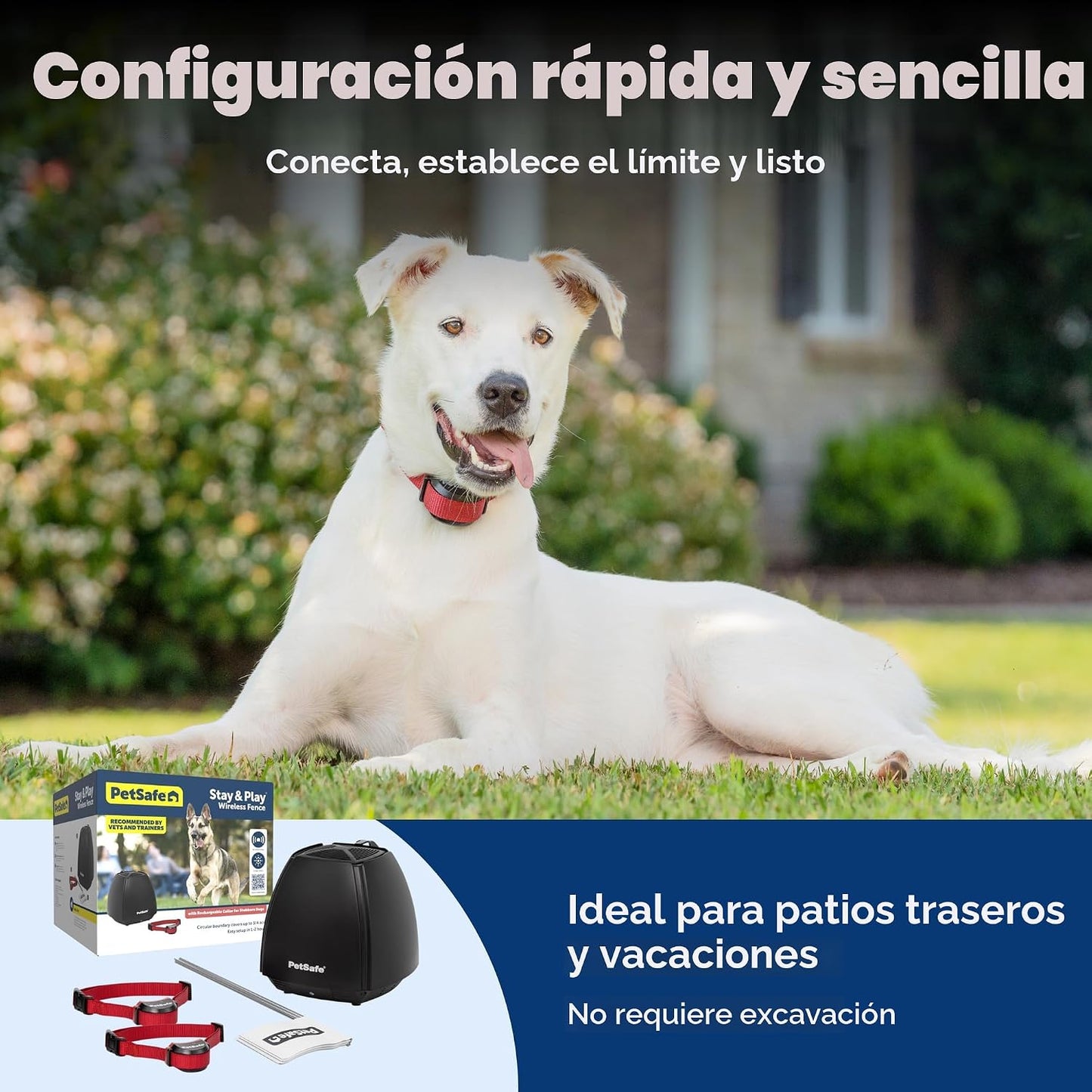 PetSafe Stay &amp; Play - Valla inalámbrica para 2 perros obstinado...