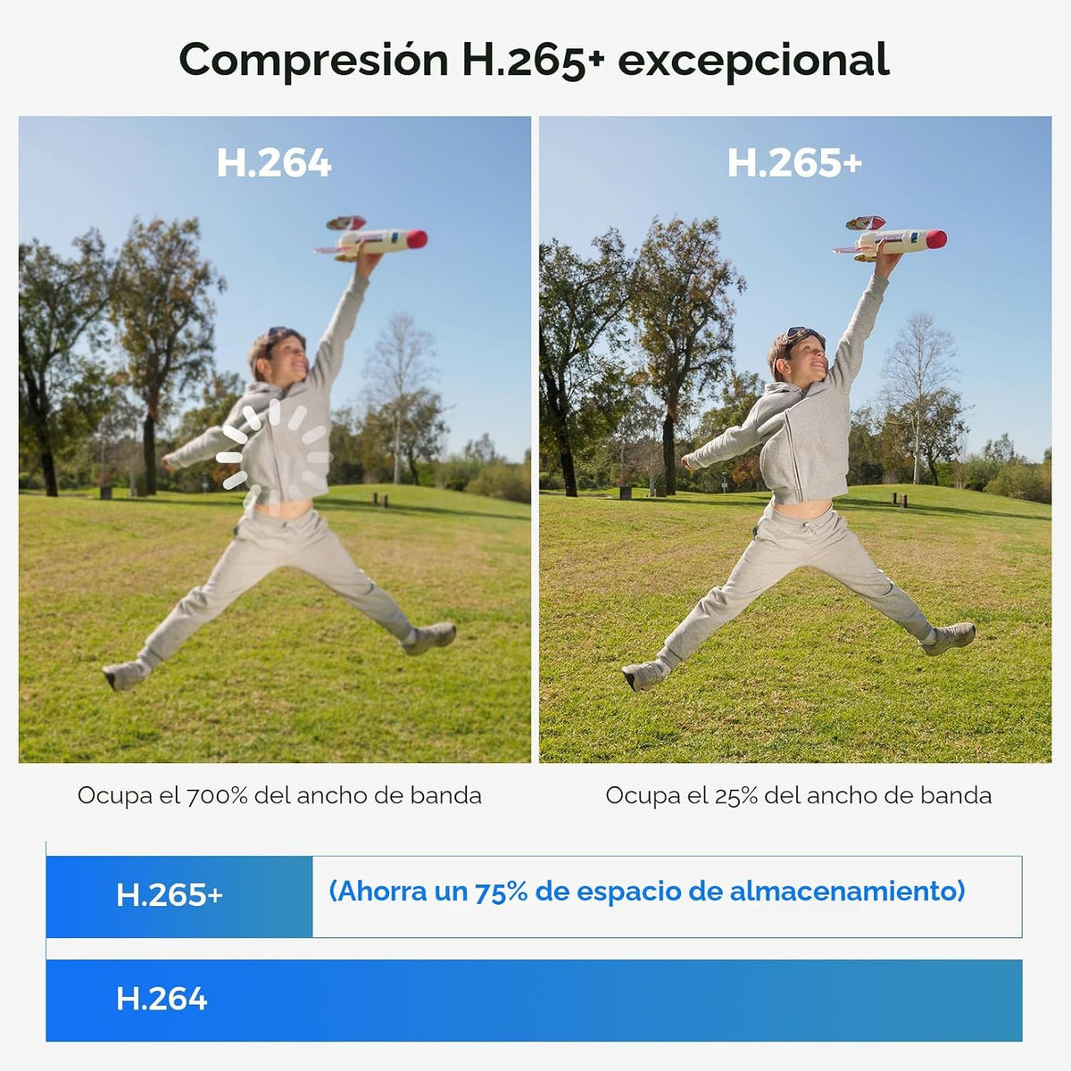 Hiseeu Sistema de cámara de seguridad con cable 16CH 3K, cámaras CC...