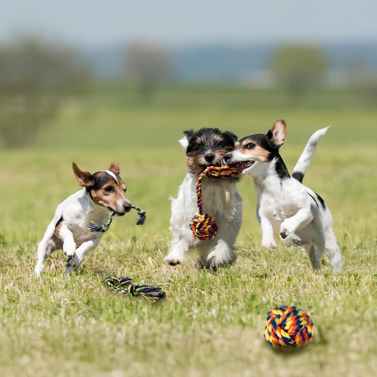 Juguetes de dentición para cachorros para perros pequeños, paquete...