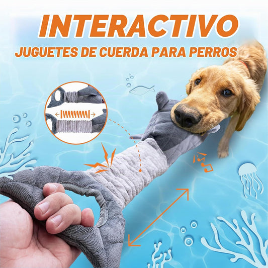 Juguetes para perros pequeños, juguetes resistentes y chirriantes p...