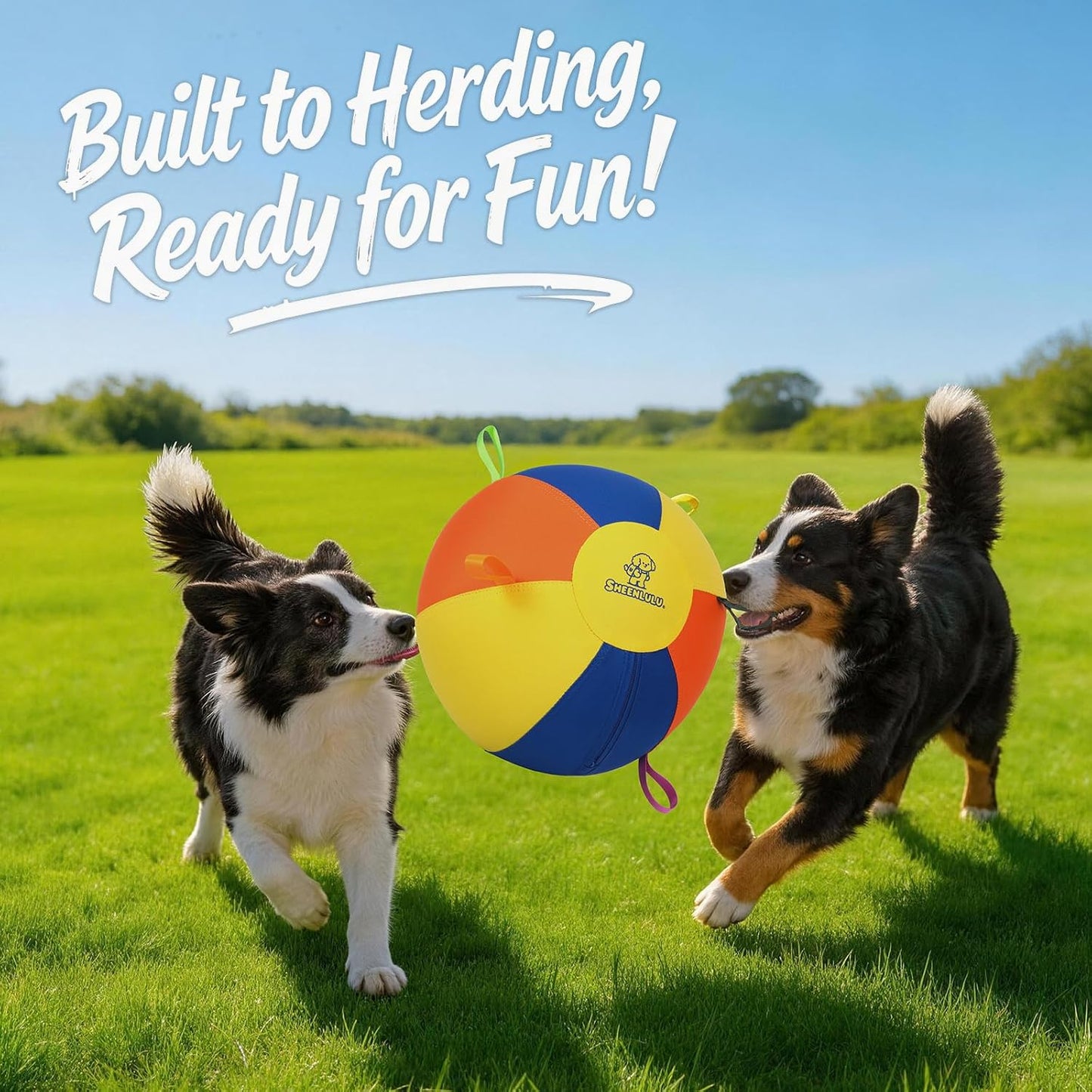 SHEENLULU Pelota de pastoreo para perros, bolas de entrenamiento de...