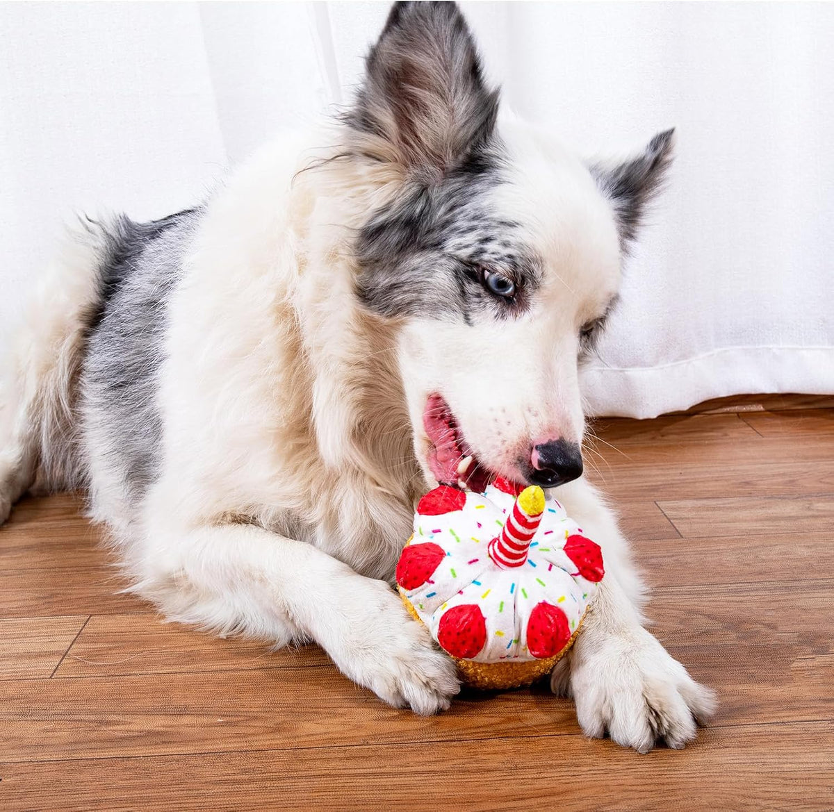 DODODOLA Juguetes de peluche duraderos para perros con papel arruga...