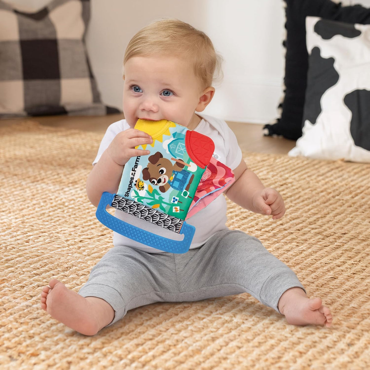 Baby Einstein Farm Explorers Shapes at the Farm Libro mordedor, mul...