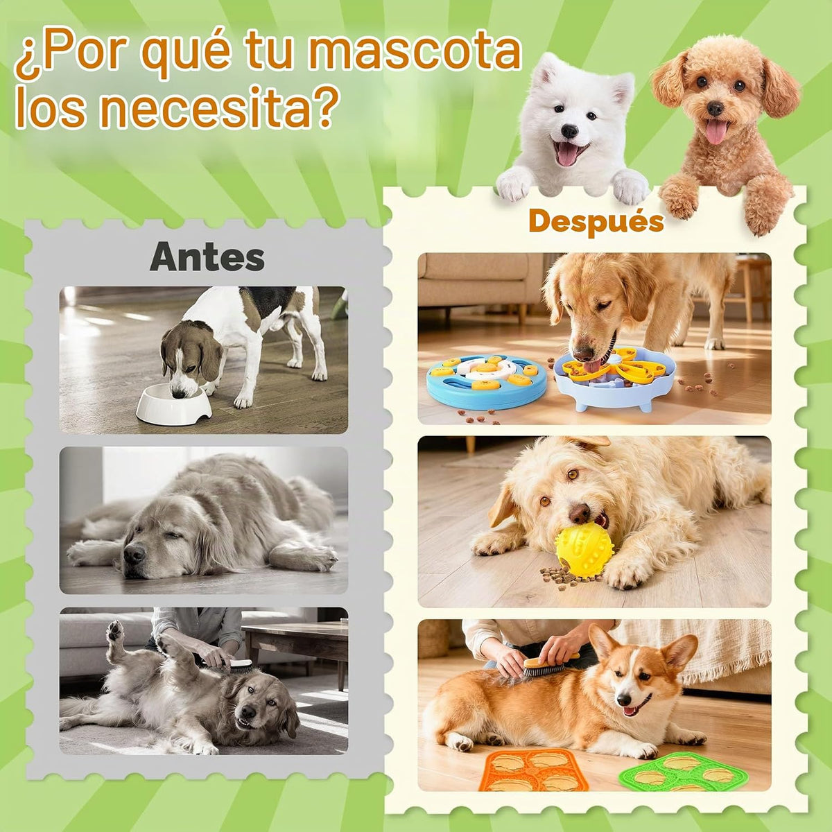 Forfon Juguetes de rompecabezas para perros seleccionados para el a...