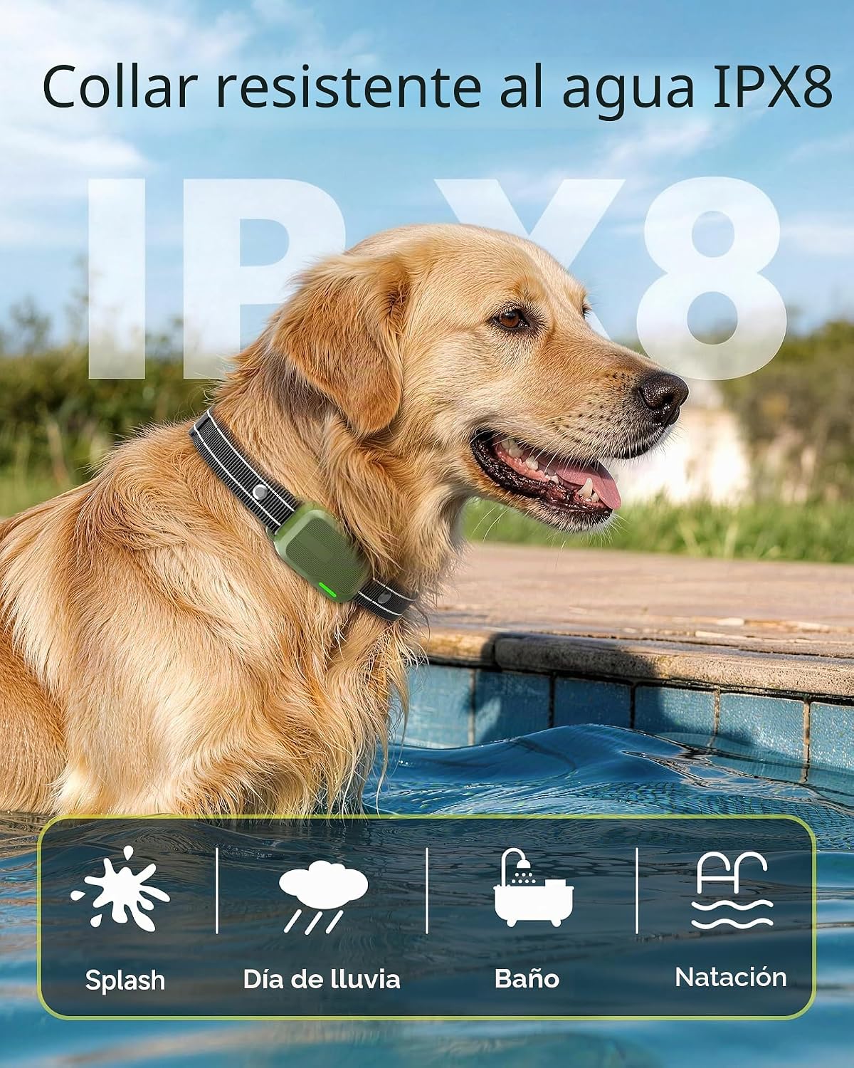Haptop Collar de choque para 2 perros (10-120 libras) \u2013 Collar...