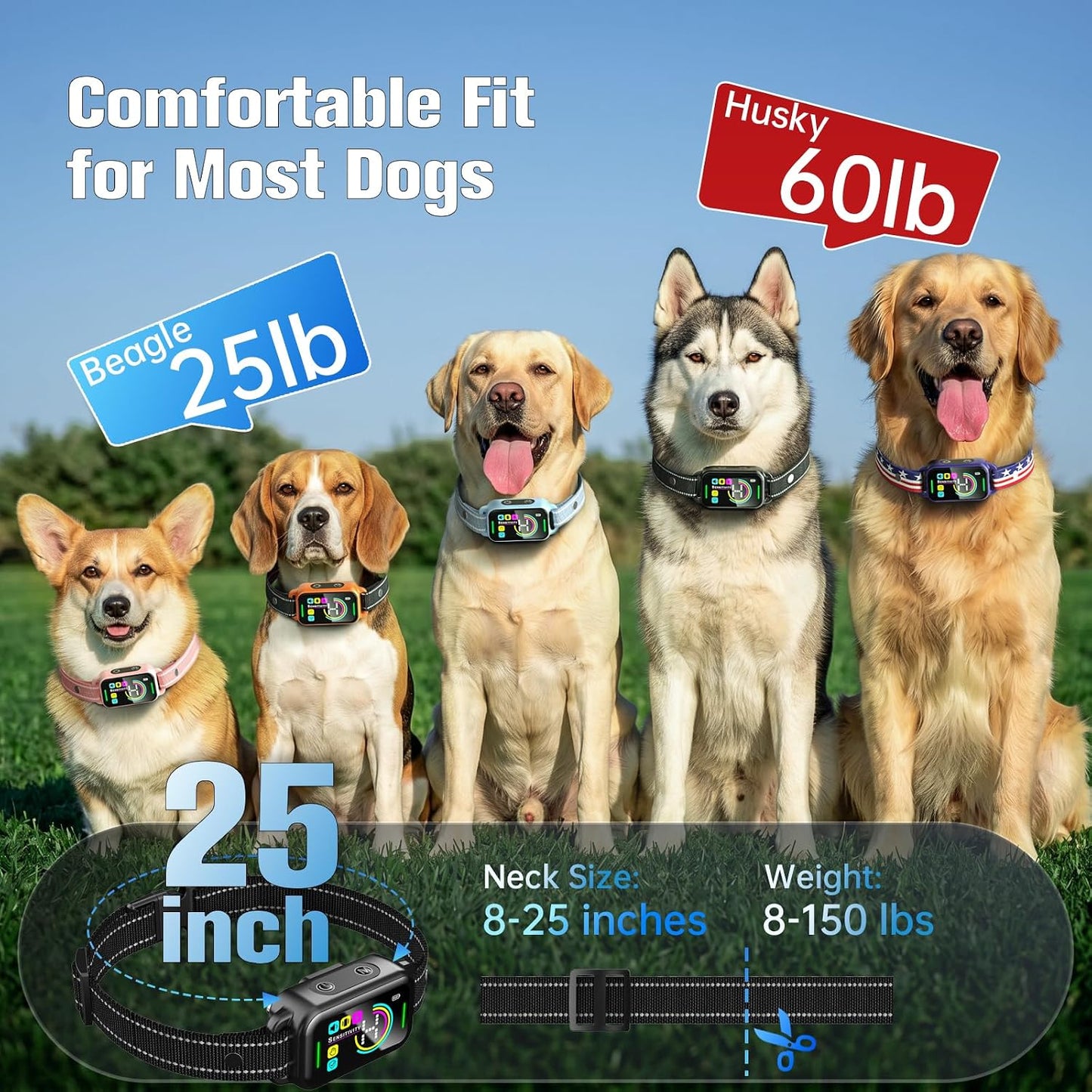 Collar antiladridos para perros grandes, medianos y pequeños \u2013...