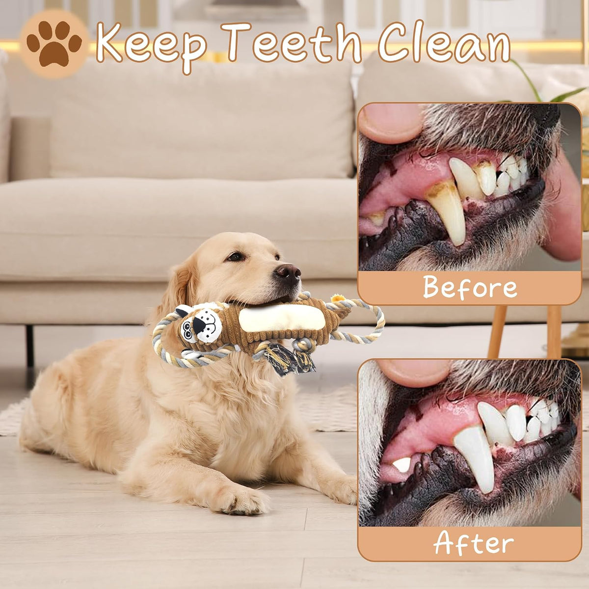 BUYPOW Juguetes Chirriantes para Perros, Juguetes Interactivos de T...