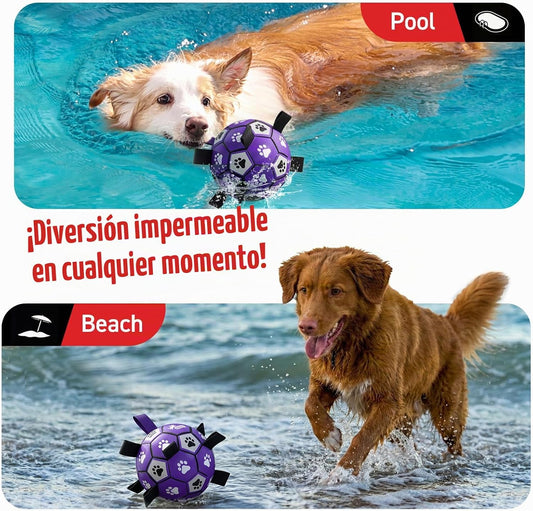 QDAN - Pelota de fútbol para perros - Bolas duraderas grandes para...