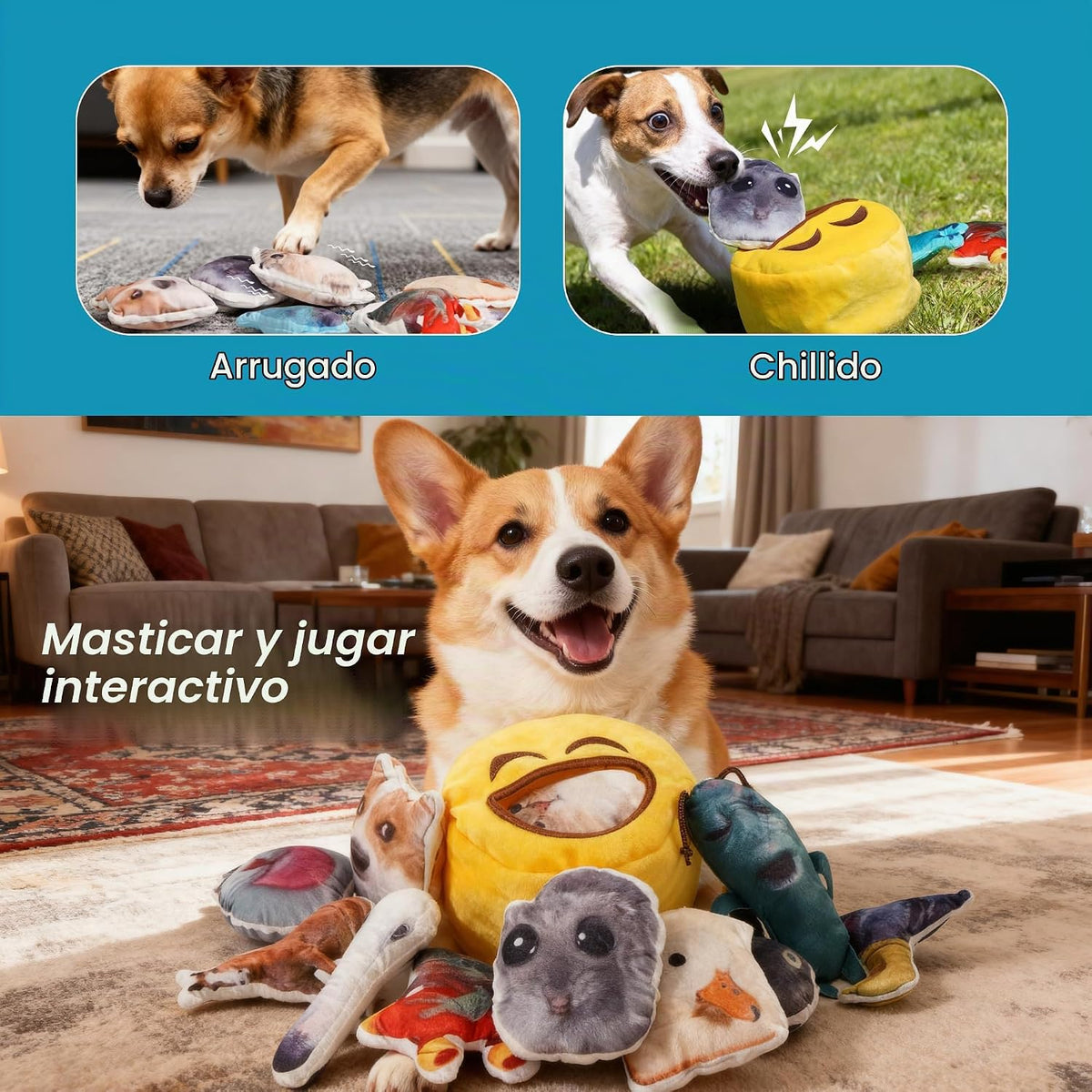 Nocciola - Juguetes de peluche con sonido para perros \u2013 12 uni...