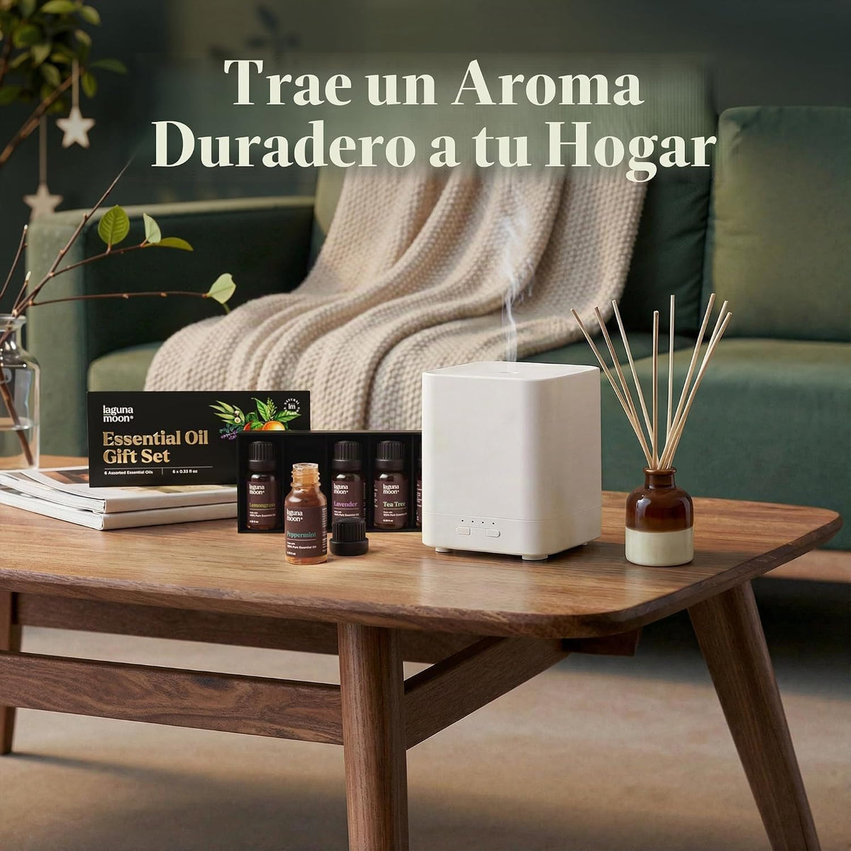 LagunaMoon - Paquete de 6 aceites esenciales con caja de regalo, me...