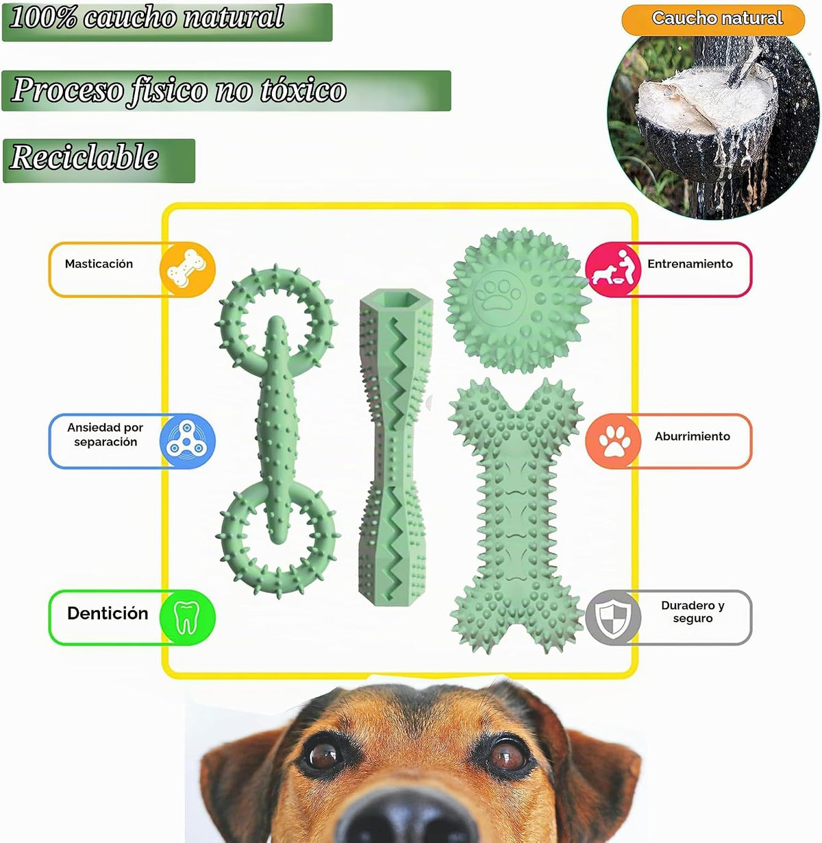 Juguetes de dentición para cachorros, bola molar de hueso de goma |...