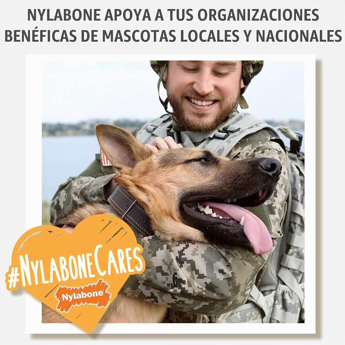 Nylabone Mordedor de goma para cachorros, juguetes masticables para...