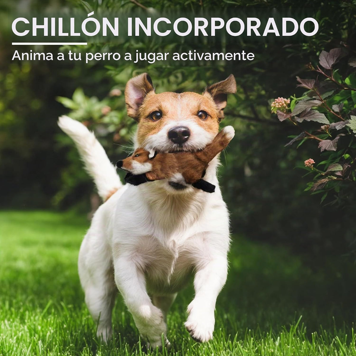 ALL FOR PAWS Juguete con sonido de zorro para perro, juguete de zor...