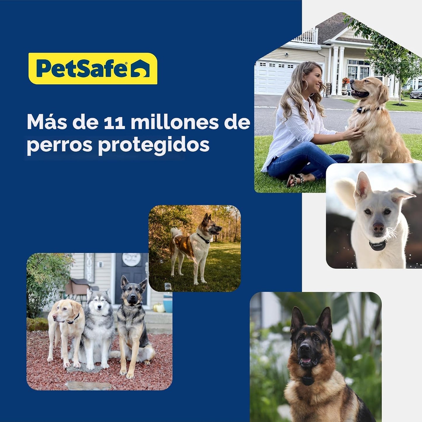 PetSafe Collar receptor de valla empotrada para perros obstinados -...