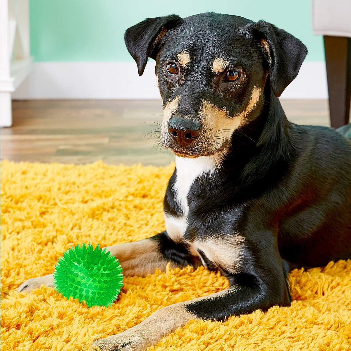 SHARLOVY Bolas chirriantes para perros pequeños, bolas de goma para...
