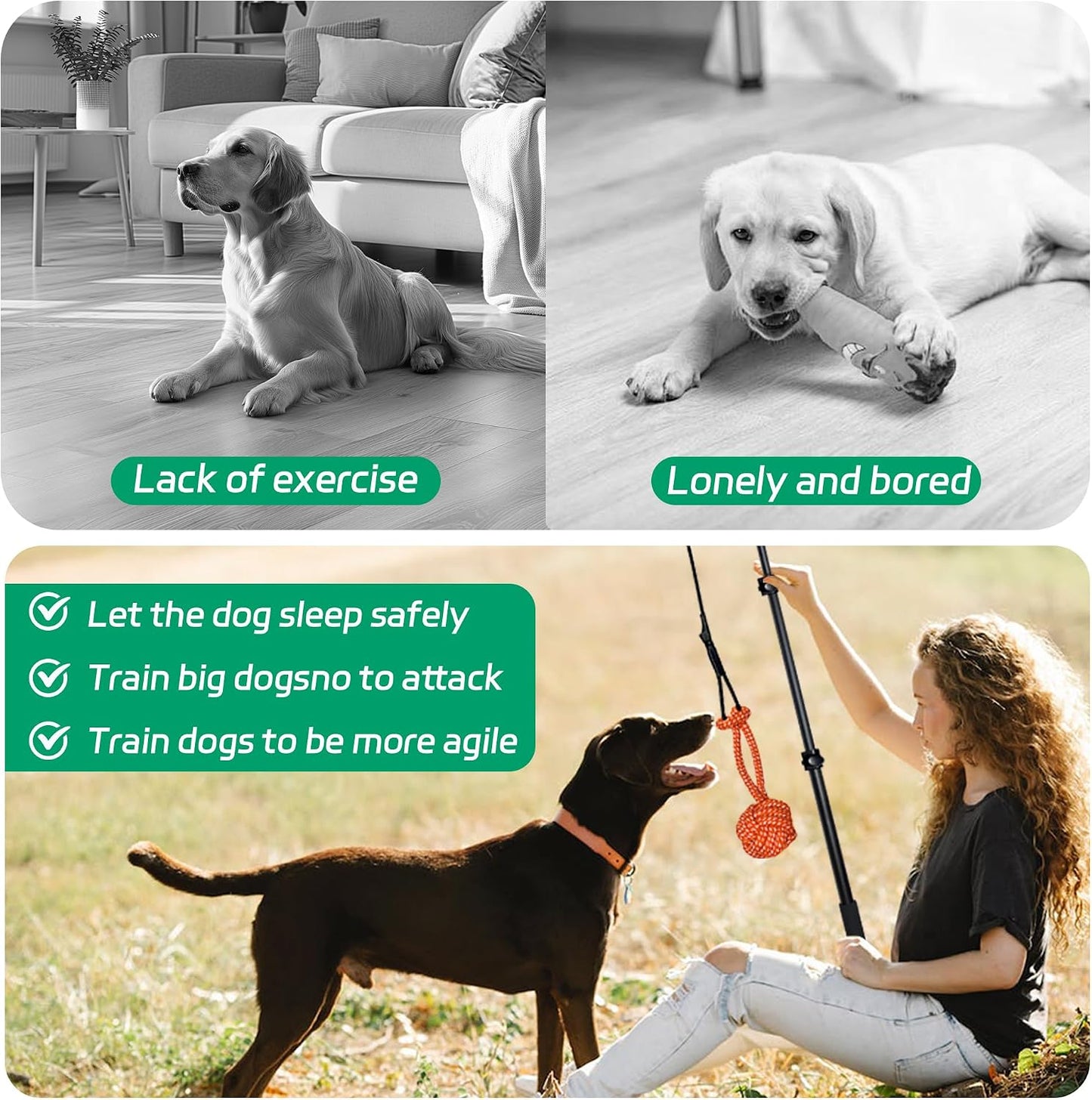 AmaCielo Poste de Flirteo para Perros, Juguetes Interactivos de Tir...