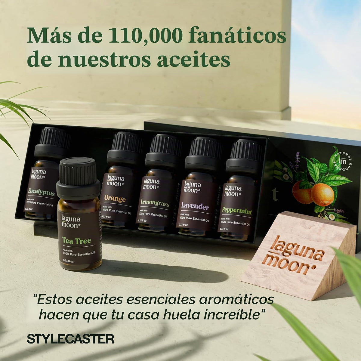 LagunaMoon - Paquete de 6 aceites esenciales con caja de regalo, me...