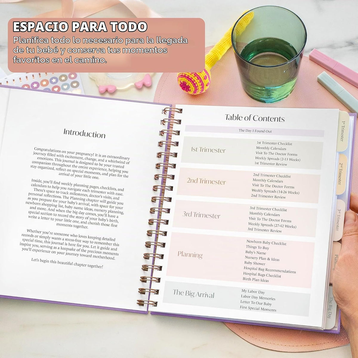 Skyline Agenda de embarazo \u2013 Libro de registro de embarazo y r...