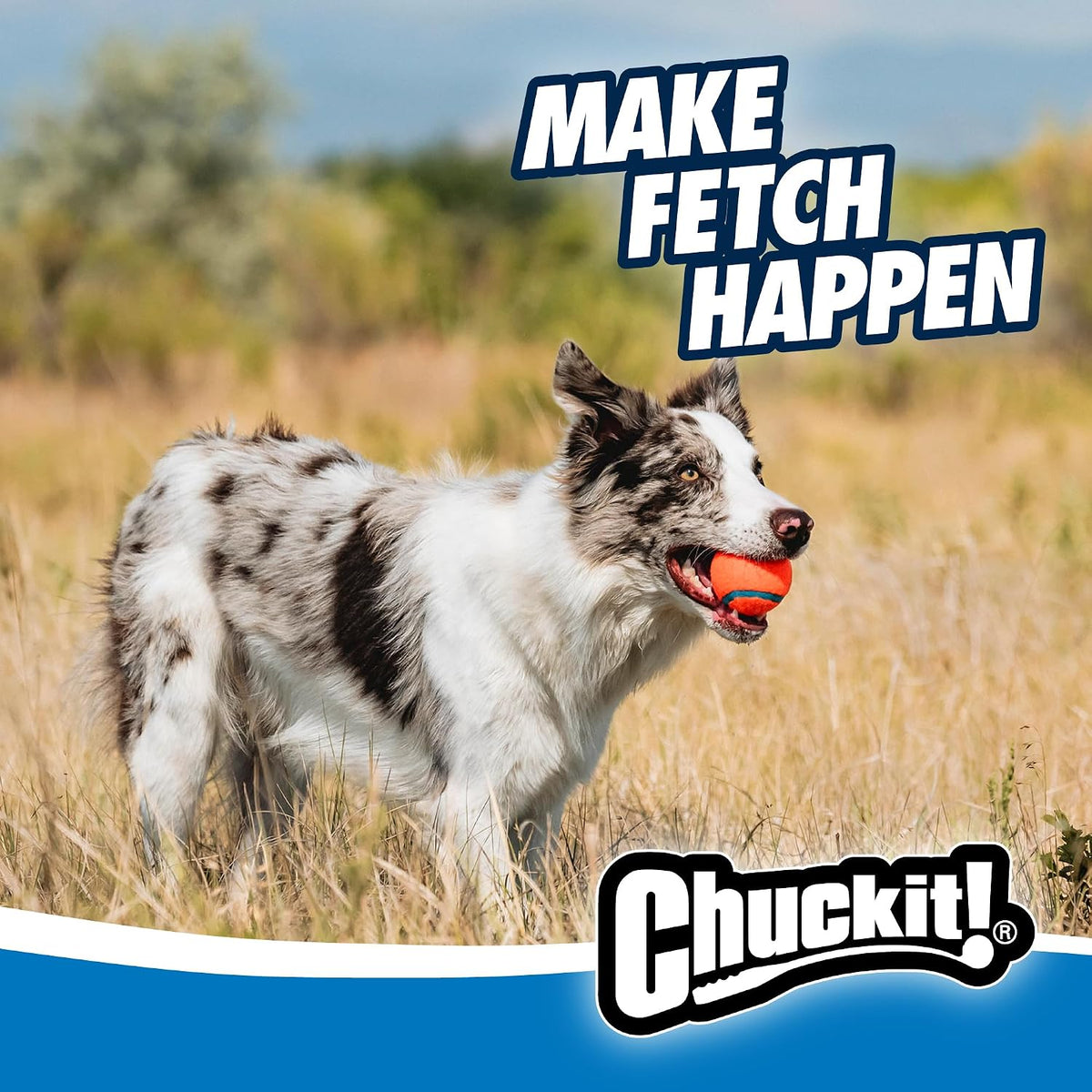 Chuckit! Paquete de pelota y lanzador Ultra para perros clásico 26M...