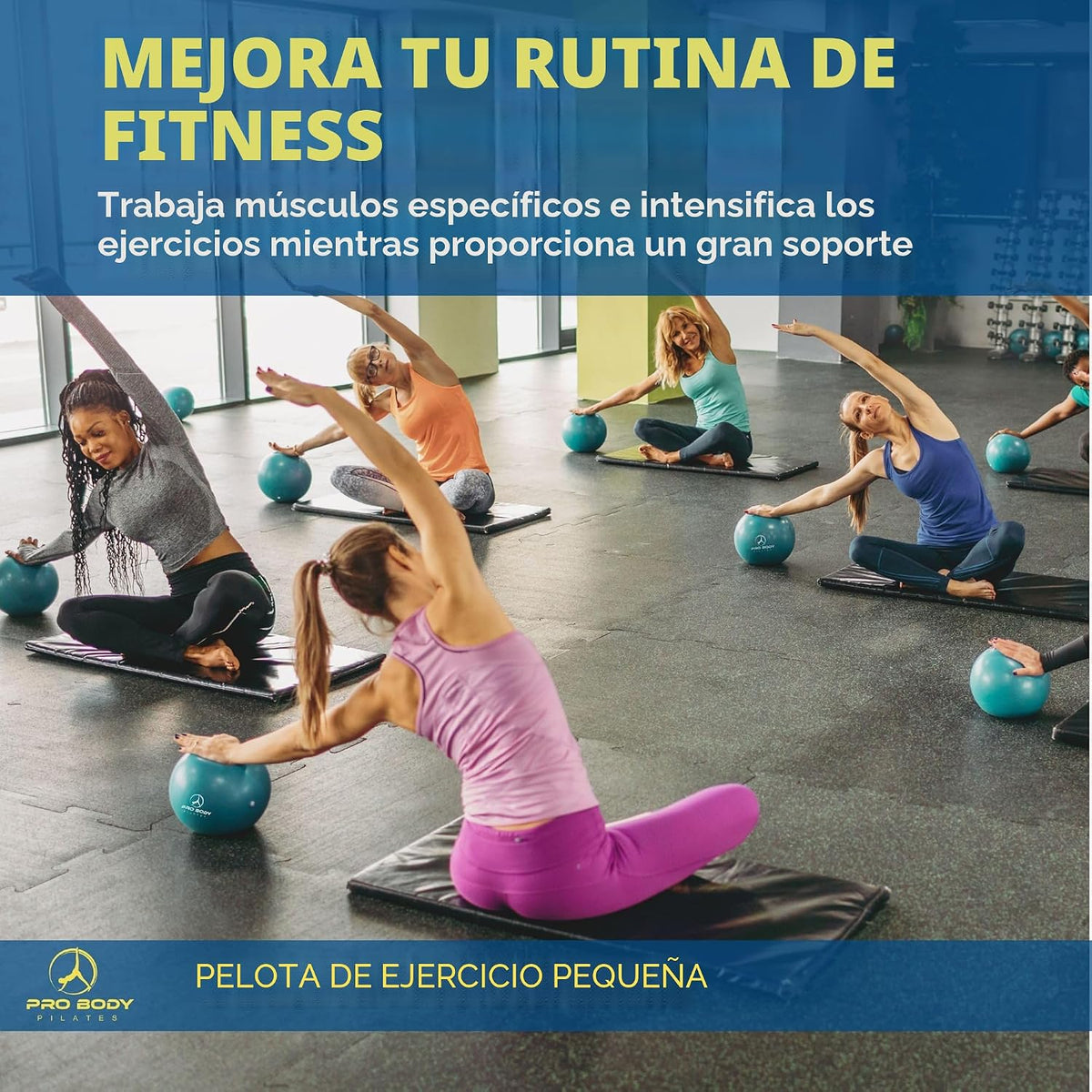 ProBody Pilates Mini Pelota de Ejercicio - Bola de 9 Pulgadas para...