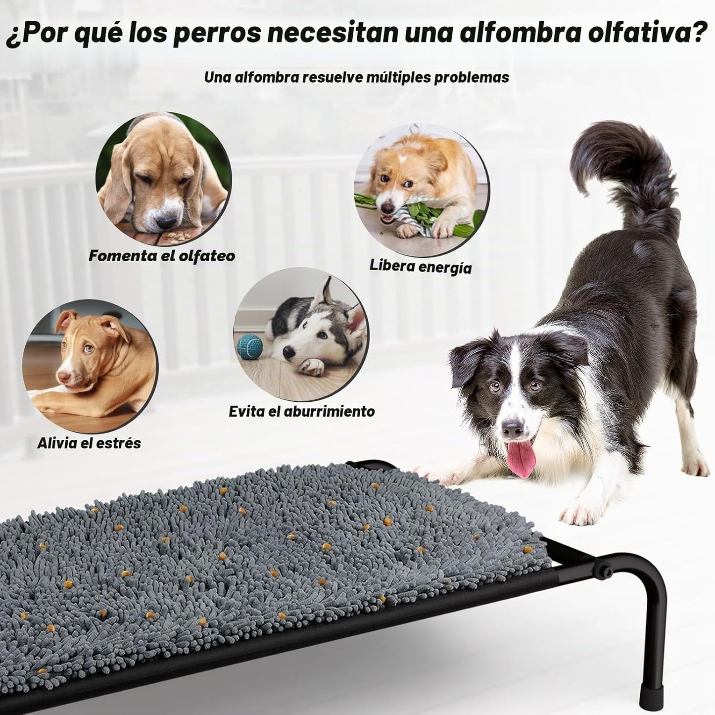 Rundik Cama Elevada para Perros con Función de Alfombrilla Olfativa...
