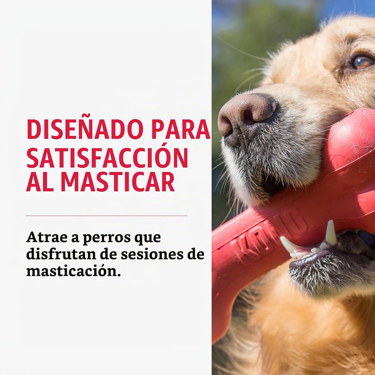 KONG Goodie Bone - Hueso de perro clásico de goma natural duradero,...
