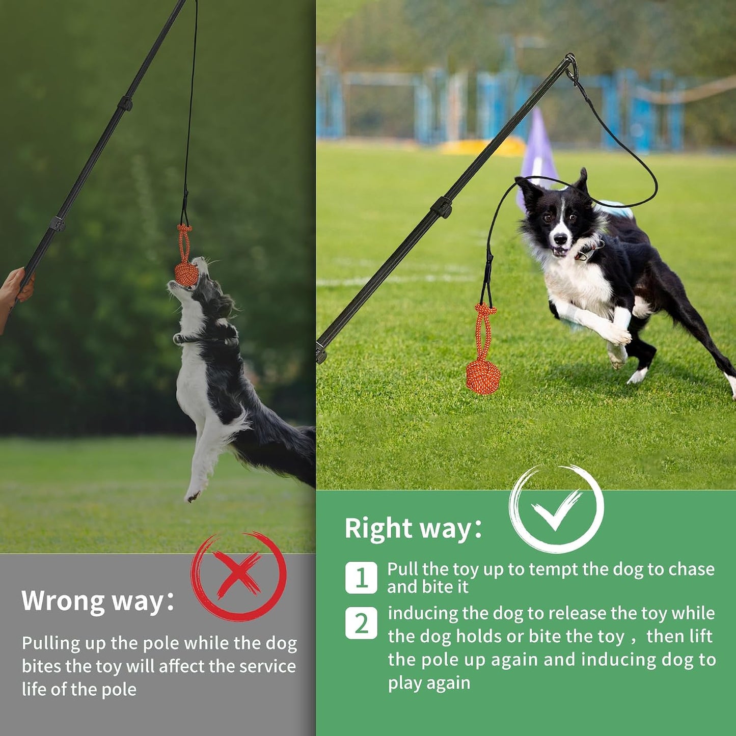 AmaCielo Poste de Flirteo para Perros, Juguetes Interactivos de Tir...