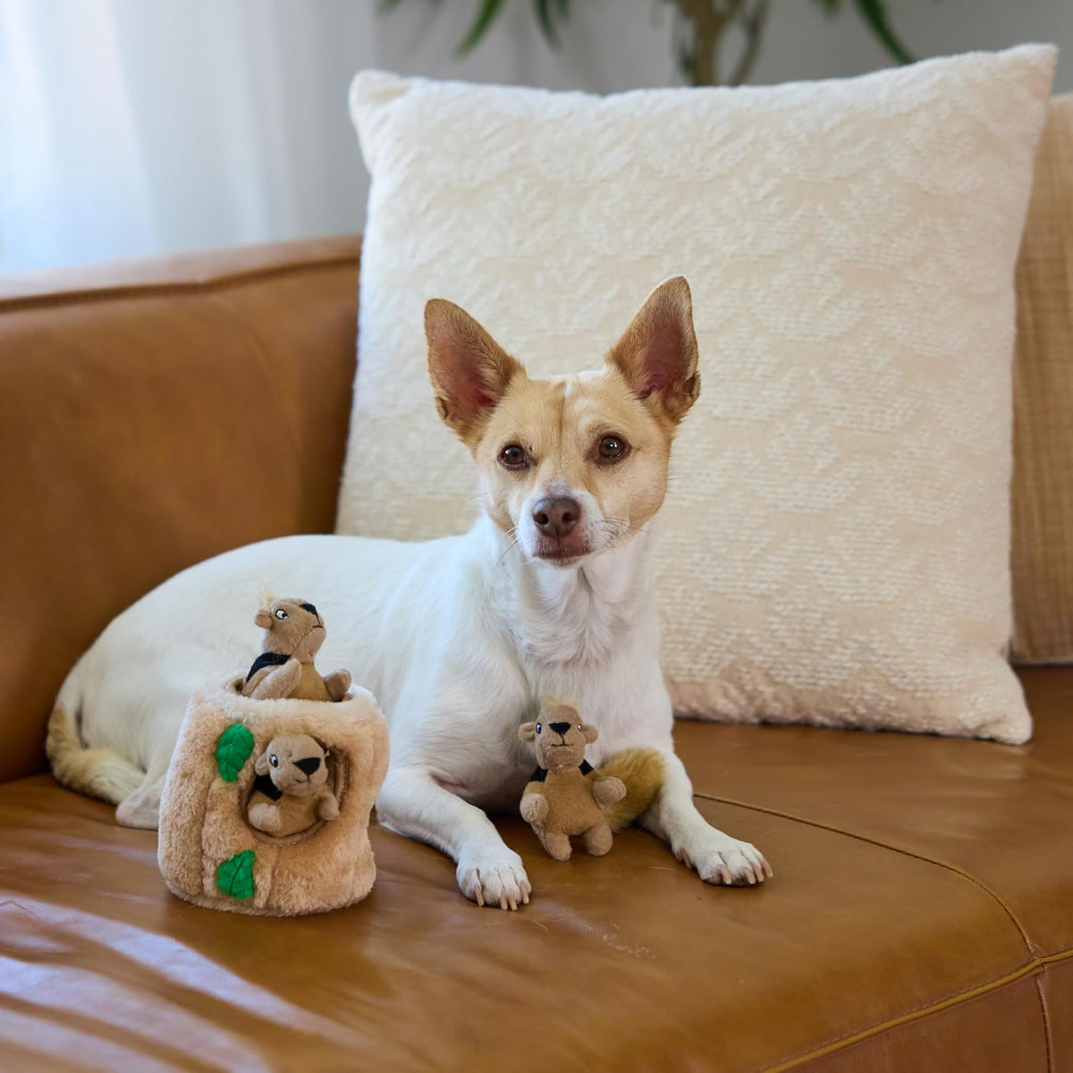 Outward Hound Squeakin' Squirrels - Juguetes de peluche de repu...