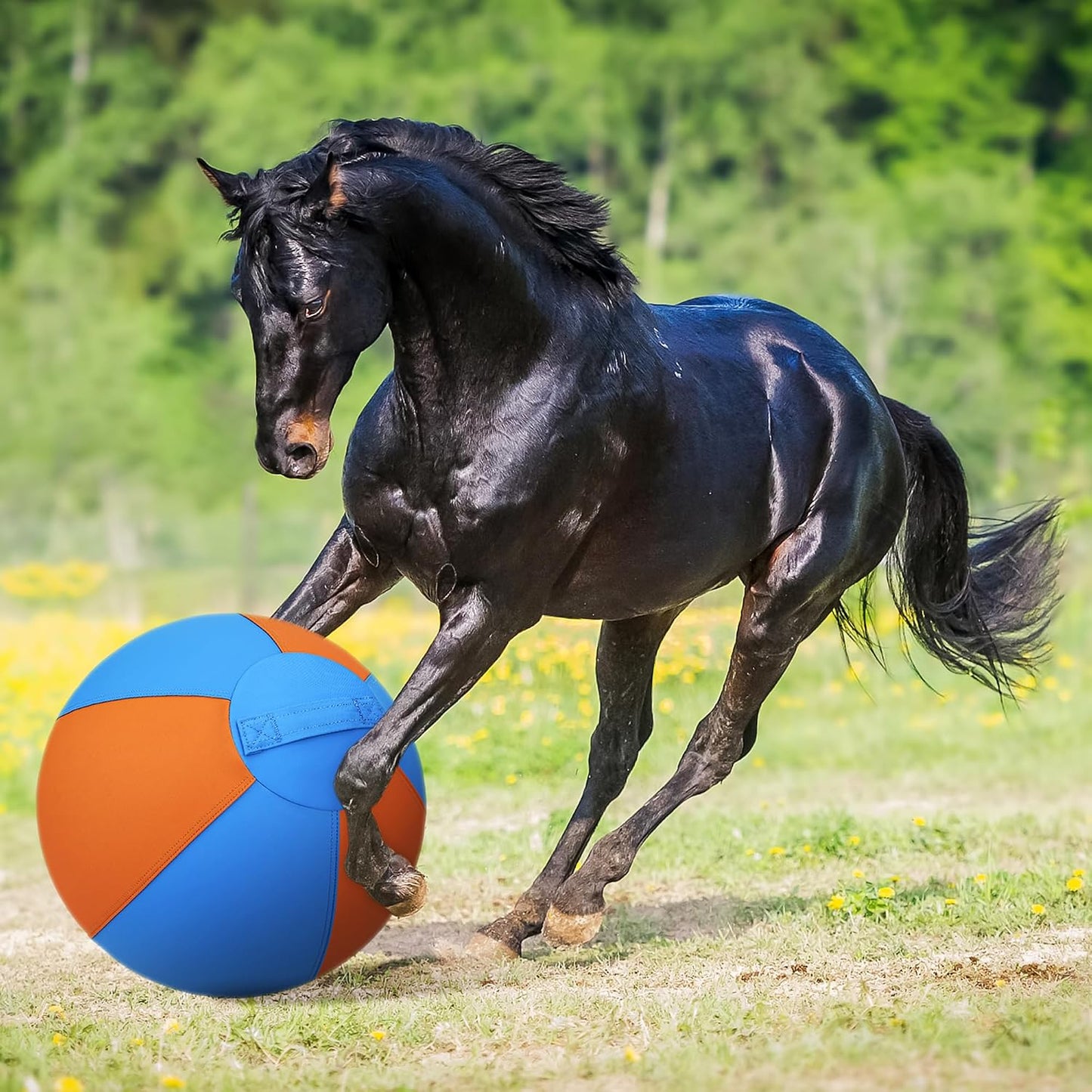 Pelota de pastoreo para perros y caballos, bola alegre de 18 pulgad...