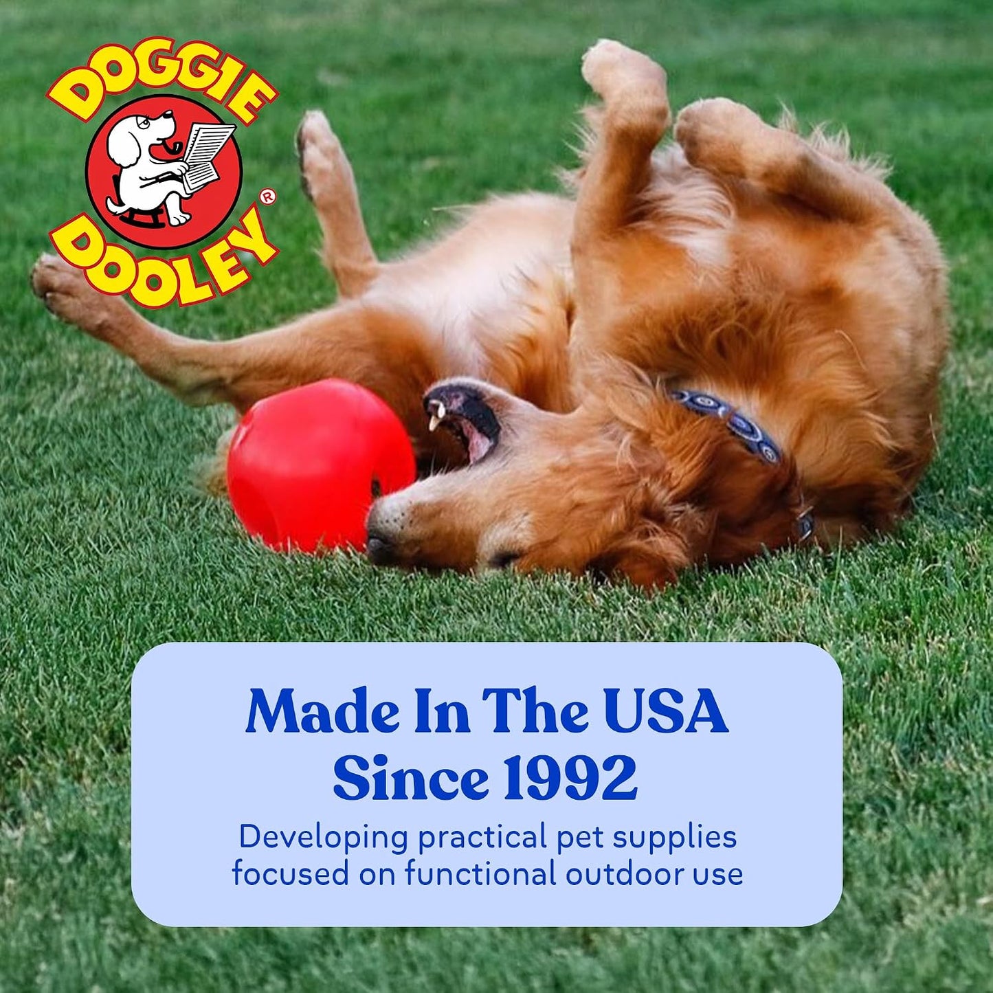 Doggie Dooley Pelota para perro prácticamente indestructible, jugue...